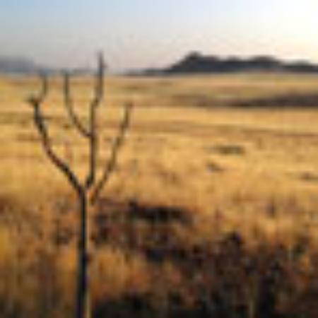 Bingo's Seafood & Chinese Cuisine